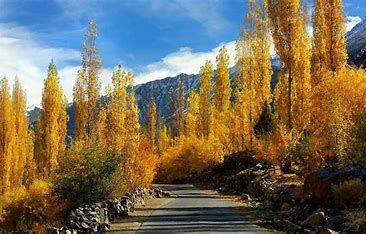 Phandar Autumn Tour
 summit ridge